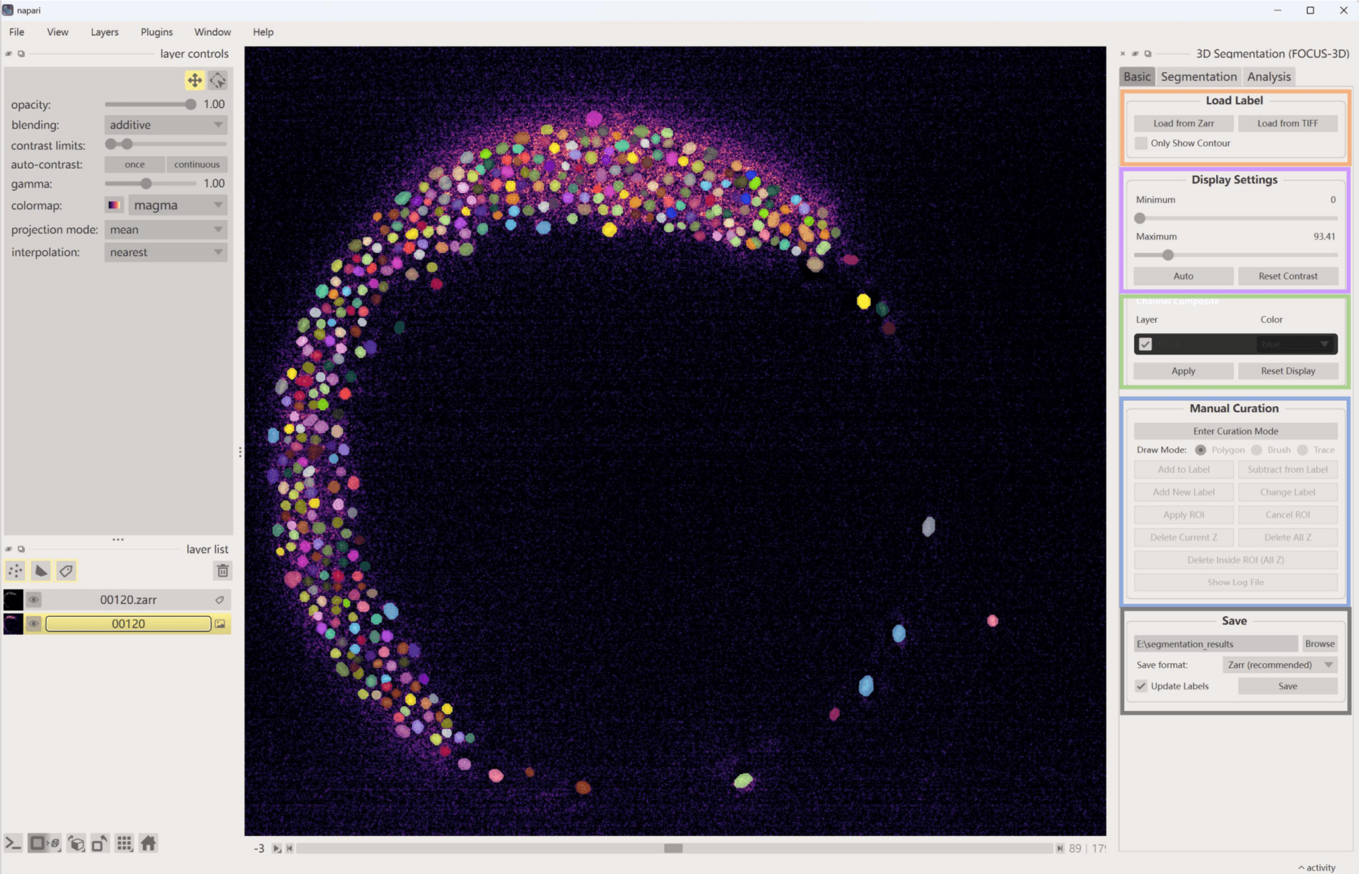 FOCUS-3D microscopy segmentation preview