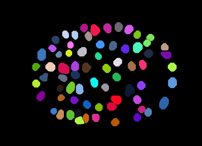 C. elegans embryo colorized GT instance mask