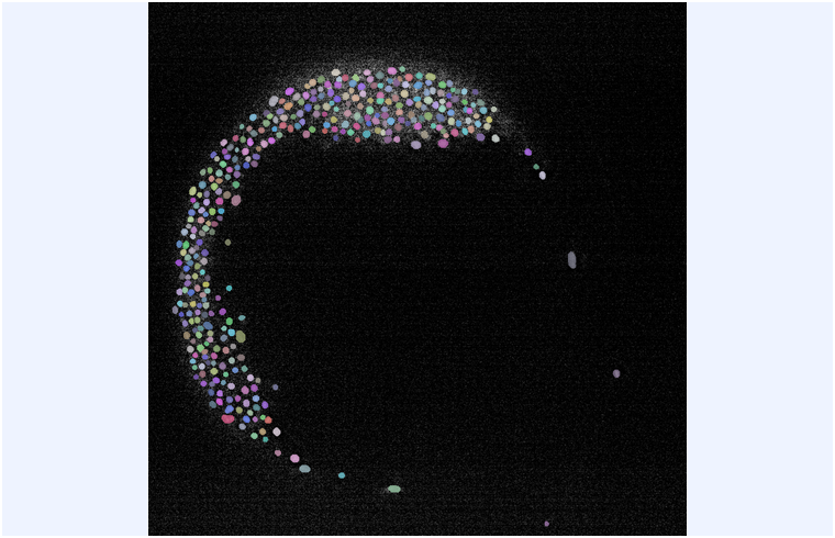Zebrafish embryo nuclei preview